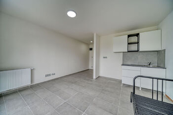 Pronájem bytu 1+kk v osobním vlastnictví 24 m², Velký Osek