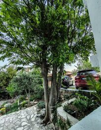 Prodej domu 600 m², Nerezine