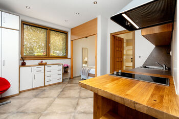 Pronájem bytu 1+kk v osobním vlastnictví 20 m², Zbuzany