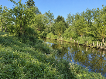 Prodej pozemku 1890 m², Pohořelice