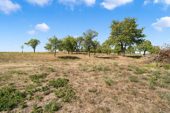 Prodej domu 260 m², Drahonín