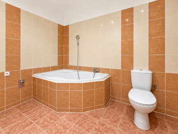 Pronájem bytu 2+1 v osobním vlastnictví 55 m², Plzeň