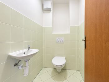 Toaleta - Prodej bytu 3+1 v osobním vlastnictví 55 m², Milovice