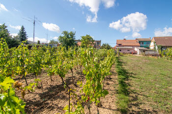Prodej pozemku 1623 m², Tvrdonice