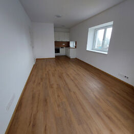 Obývací pokoj s kuchyňským koutem - Pronájem bytu 2+kk v osobním vlastnictví 48 m², Rostěnice-Zvonovice