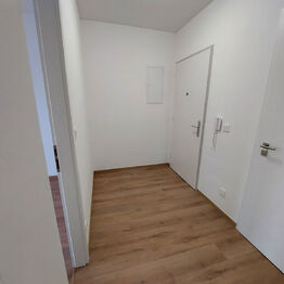 Předsíň - Pronájem bytu 2+kk v osobním vlastnictví 48 m², Rostěnice-Zvonovice