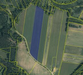 Prodej pozemku 29765 m², Kamberk