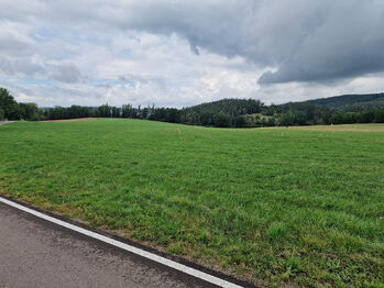 Prodej pozemku 29765 m², Kamberk