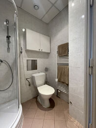 Pronájem bytu 1+1 v osobním vlastnictví 62 m², Praha 2 - Vinohrady