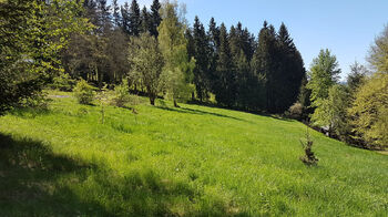 Prodej pozemku 4558 m², Kraslice