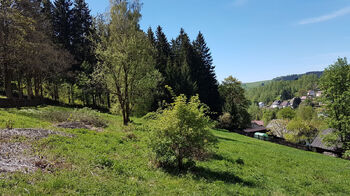 Prodej pozemku 4558 m², Kraslice