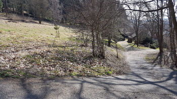 Prodej pozemku 4558 m², Kraslice