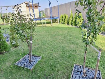 Slunná zahrada - Prodej chaty / chalupy 106 m², Doubravčice