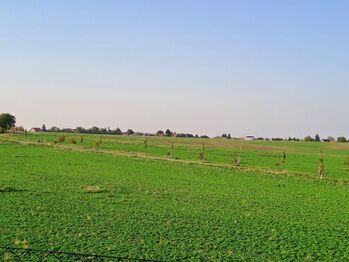Výhledy - Prodej chaty / chalupy 106 m², Doubravčice