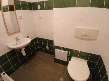 Pronájem bytu 1+1 v osobním vlastnictví 44 m², Litoměřice