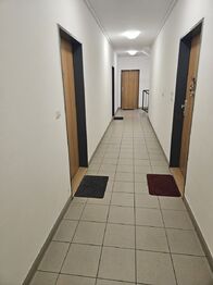 chodba - Pronájem bytu 2+kk v osobním vlastnictví 48 m², Praha 5 - Zličín