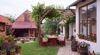 Vizualizace dvora - Prodej domu 200 m², Šakvice
