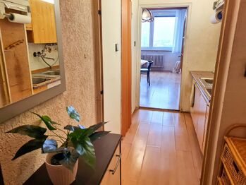 Prodej bytu 1+kk v osobním vlastnictví 28 m², Brno