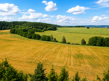 Prodej domu 263 m², Staré Město pod Landštejnem