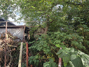 Prodej domu 76 m², Doudleby nad Orlicí