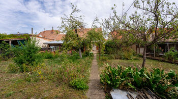 Zahrada - Prodej domu 186 m², Prušánky
