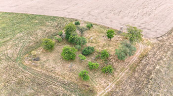 Prodej pozemku 3633 m², Ošelín