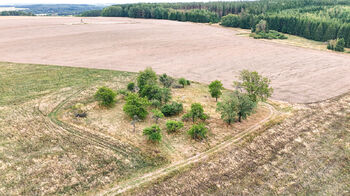 Prodej pozemku 3633 m², Ošelín
