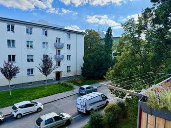 Pronájem bytu 2+1 v osobním vlastnictví 51 m², Praha 3 - Žižkov