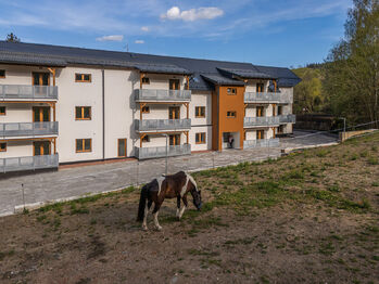 Prodej bytu 1+kk v osobním vlastnictví 59 m², Vrbno pod Pradědem