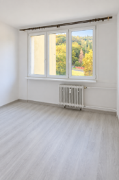 Pronájem bytu 4+1 v družstevním vlastnictví 68 m², Litvínov