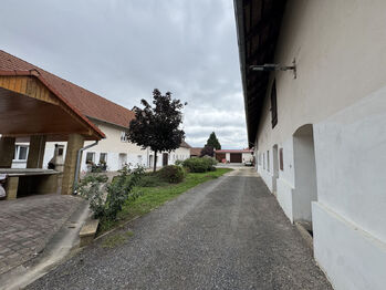 Pronájem bytu 1+kk v osobním vlastnictví 25 m², Krabčice