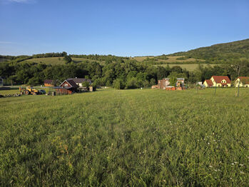 Prodej pozemku 4223 m², Javorník