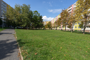 Prodej bytu 2+kk v družstevním vlastnictví 40 m², Most