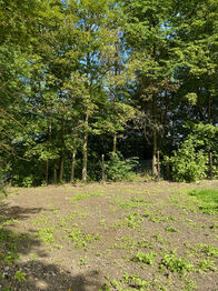 Pohled zadní část zahrady - Pronájem pozemku 750 m², Lipová