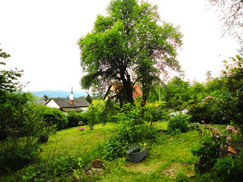 Prodej chaty / chalupy 46 m², Petrov
