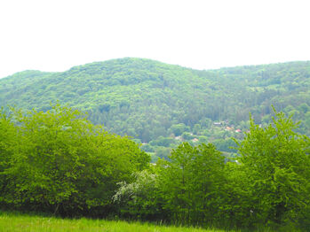 Prodej chaty / chalupy 46 m², Petrov