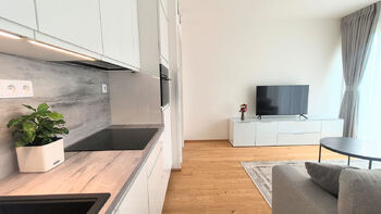 Pronájem bytu 1+kk v osobním vlastnictví 39 m², Praha 5 - Smíchov