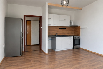 Kuchyně - Pronájem bytu 1+1 v osobním vlastnictví 41 m², Ústí nad Labem