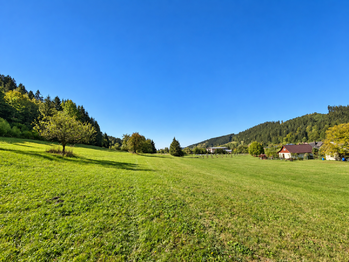 Prodej pozemku 3256 m², Velké Karlovice
