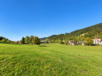 Prodej pozemku 3256 m², Velké Karlovice