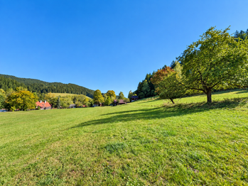 Prodej pozemku 3256 m², Velké Karlovice