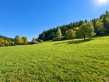 Prodej pozemku 3256 m², Velké Karlovice