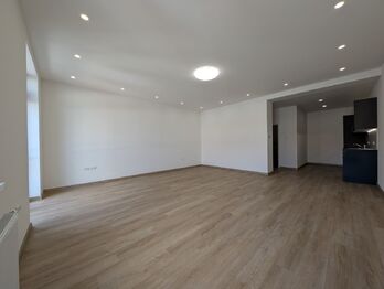 Pronájem bytu 1+kk v osobním vlastnictví 55 m², Praha 10 - Vršovice