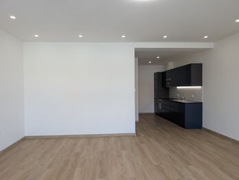 Pronájem bytu 1+kk v osobním vlastnictví 55 m², Praha 10 - Vršovice