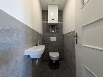 Pronájem bytu 1+kk v osobním vlastnictví 55 m², Praha 10 - Vršovice