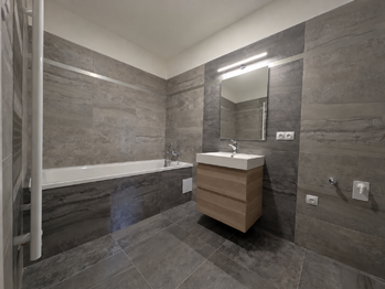 Pronájem bytu 1+kk v osobním vlastnictví 55 m², Praha 10 - Vršovice