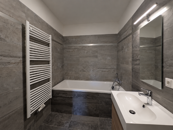 Pronájem bytu 1+kk v osobním vlastnictví 55 m², Praha 10 - Vršovice