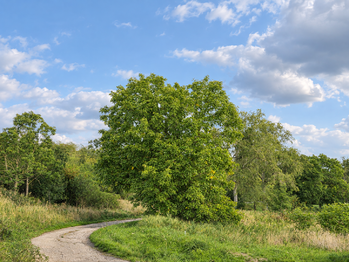 Prodej domu 159 m², Otnice