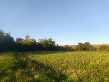 Prodej pozemku 905 m², Lutopecny