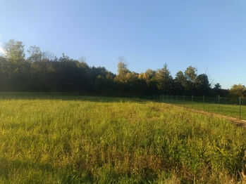 Prodej pozemku 905 m², Lutopecny